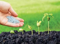 Thực trạng thị trường phân bón ở Việt Nam hiện nay