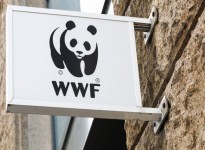 Nhựa sinh học và tổ chức WWF