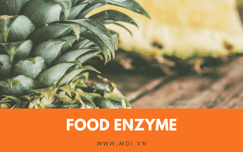 Chế phẩm enzyme là gì và có ứng dụng gì trong ngành công nghiệp?